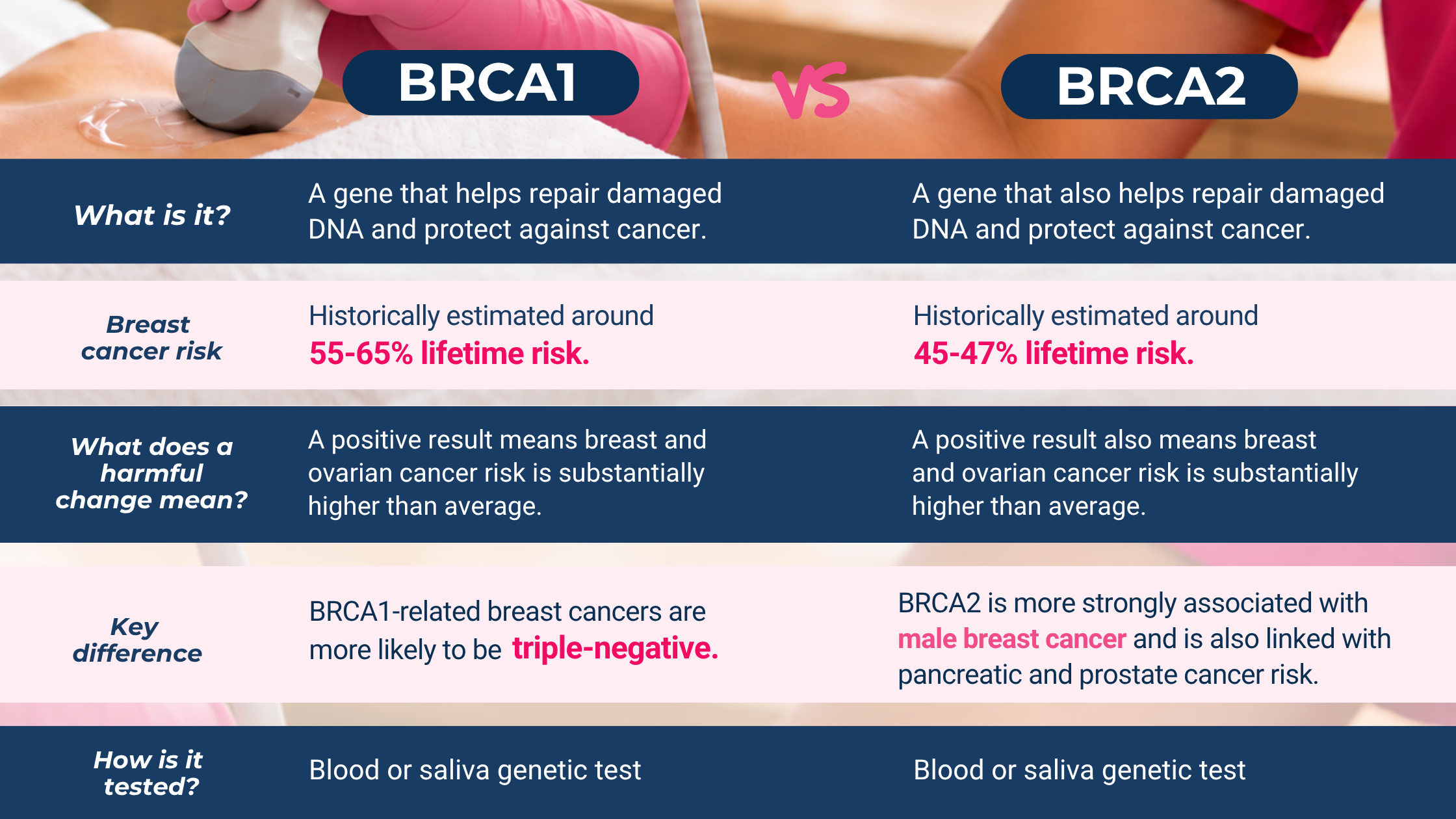 BRCA1 vs BRCA2 Comparison