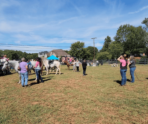 Become a HerScan CHAMP