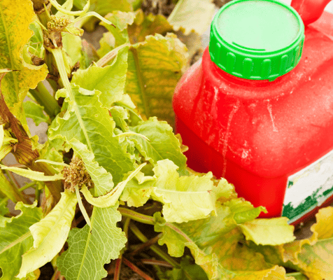 Do Pesticides Cause Breast Cancer?